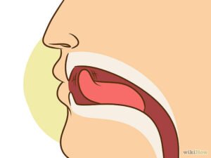 670px-Stop-a-Sneeze-Step-6