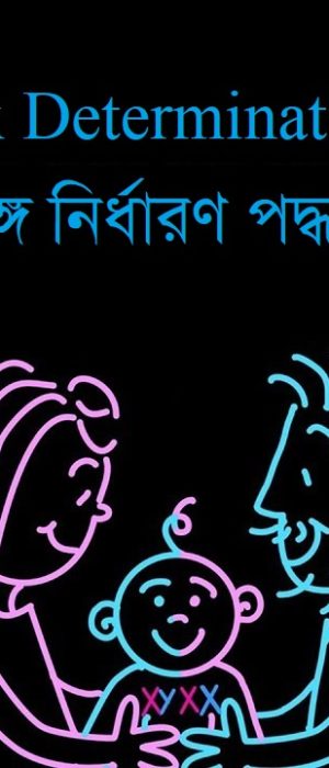 লিঙ্গ নির্ধারণ পদ্ধতি
