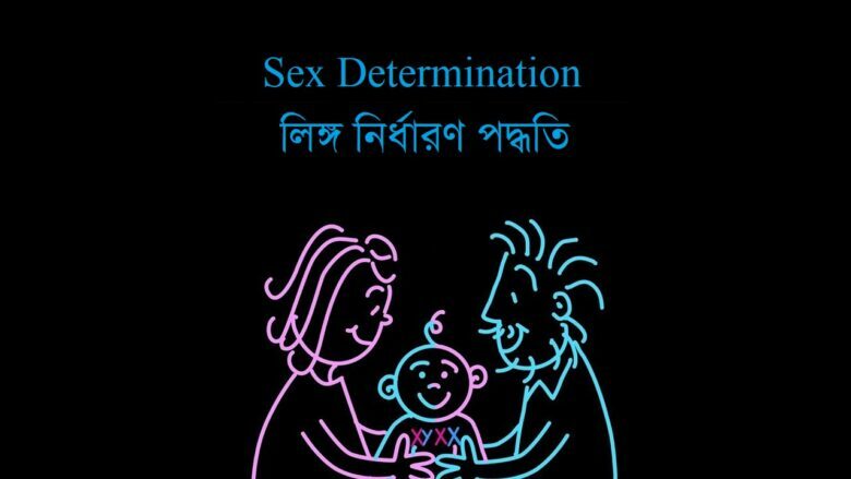 লিঙ্গ নির্ধারণ পদ্ধতি