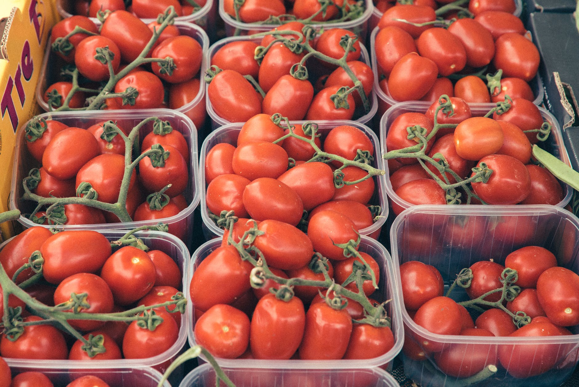 red tomatoes in blue plastic crate