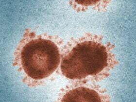 microscopic shot of a virus