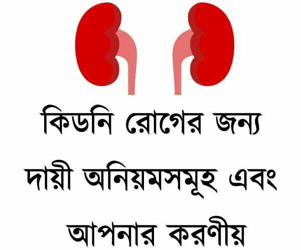 আমার অভিজ্ঞতা কিডনি রোগের জন্য দায়ী অনিয়মসমূহ এবং আপনার করণীয়