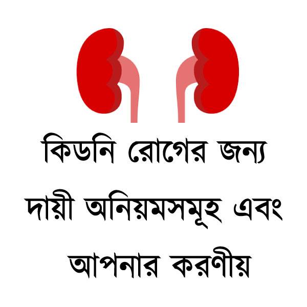 আমার অভিজ্ঞতা কিডনি রোগের জন্য দায়ী অনিয়মসমূহ এবং আপনার করণীয়