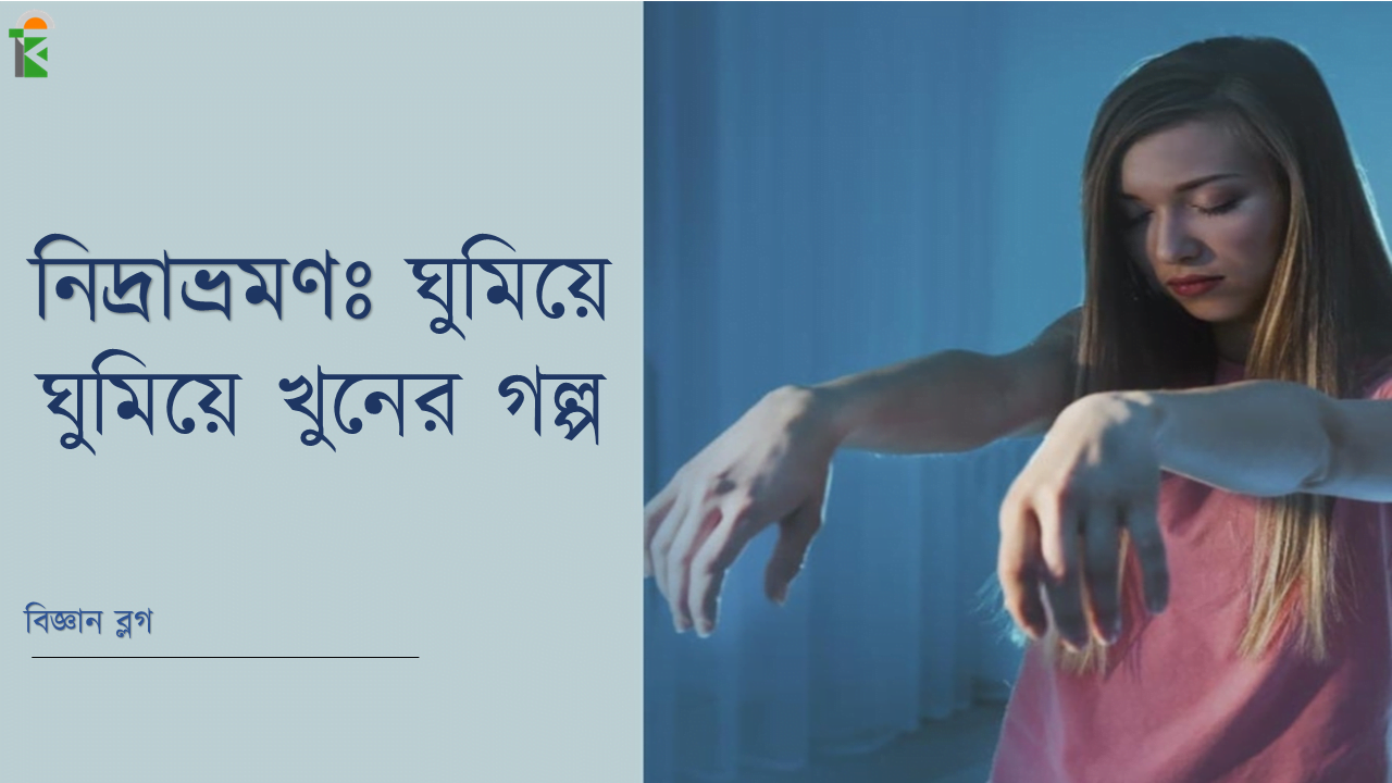 নিদ্রাভ্রমণ: ঘুমিয়ে ঘুমিয়ে খুনের গল্প