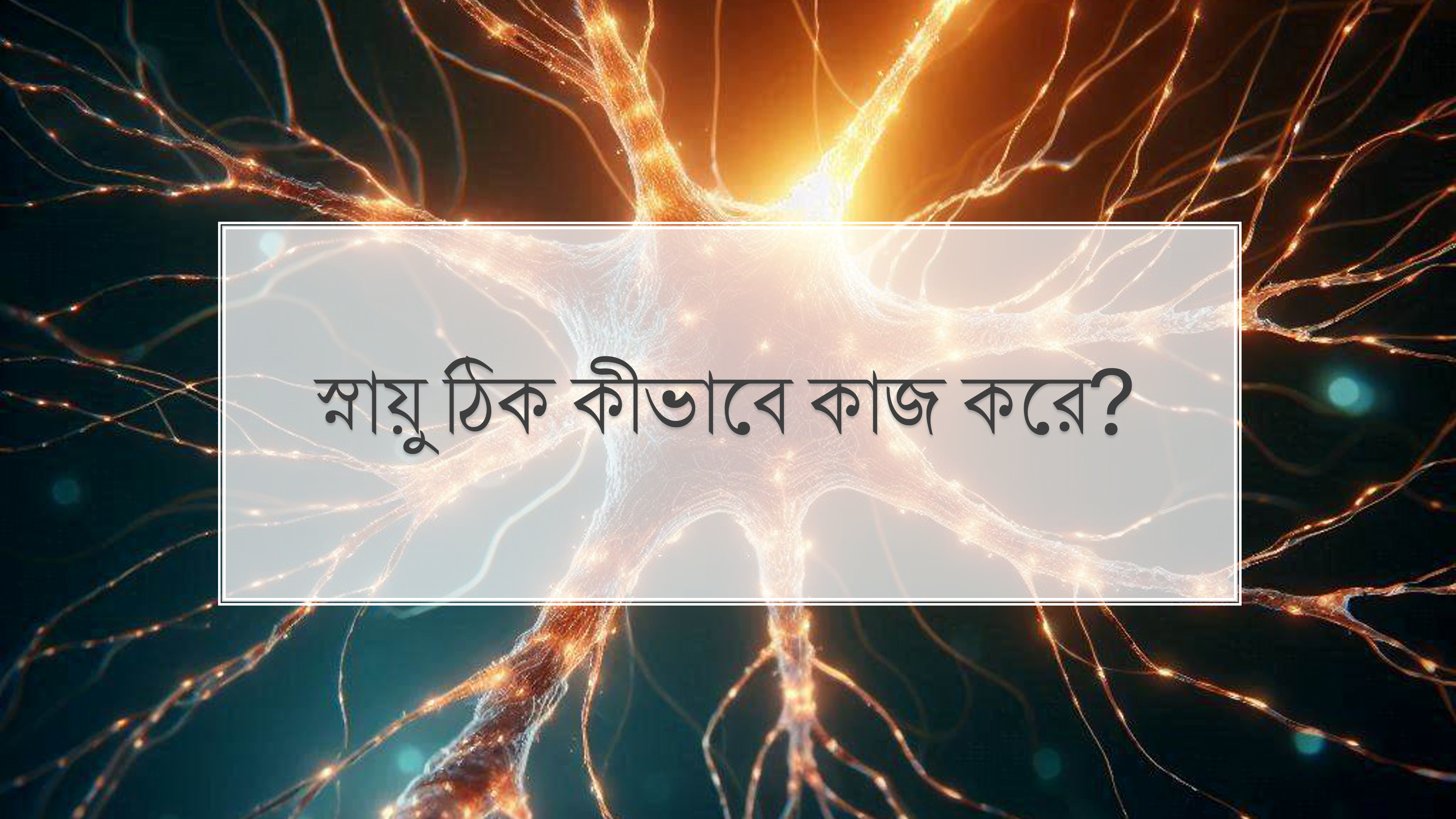 স্নায়ু আসলে কীভাবে কাজ করে?